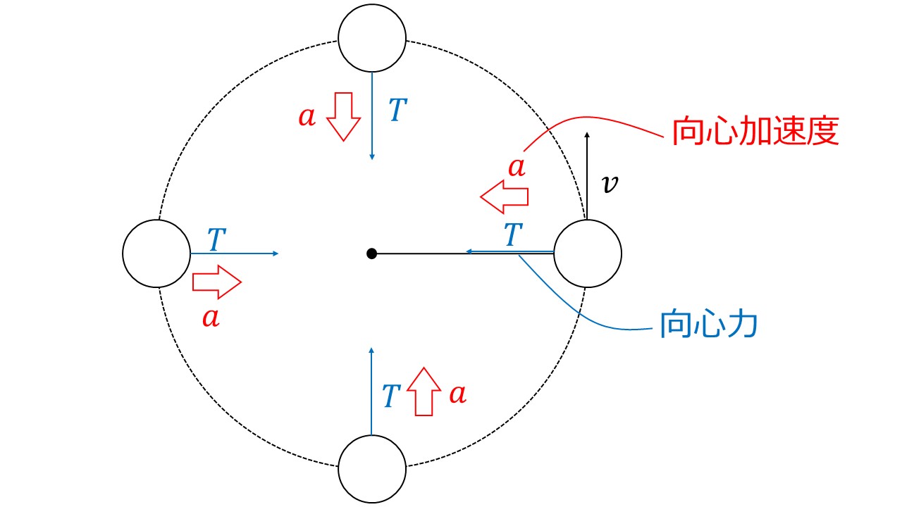 等速円運動の2つの解法 向心力と遠心力についても解説しています 大学受験の王道