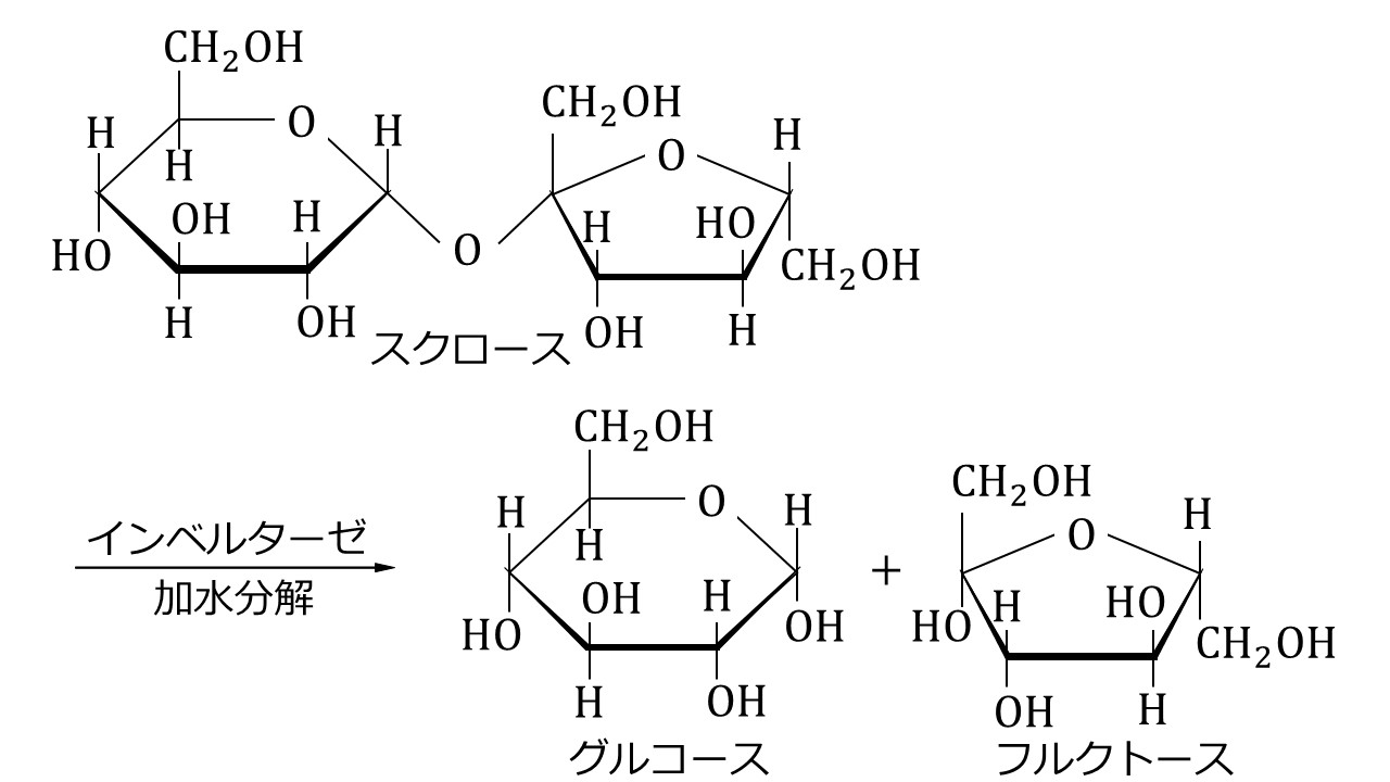 スクロースの加水分解 大学受験の王道